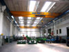 Fabbricato industriale utlimato